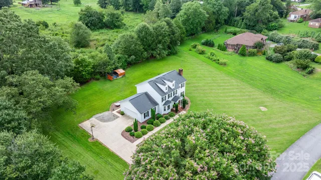 a view of a big yard with potted plants and large trees
