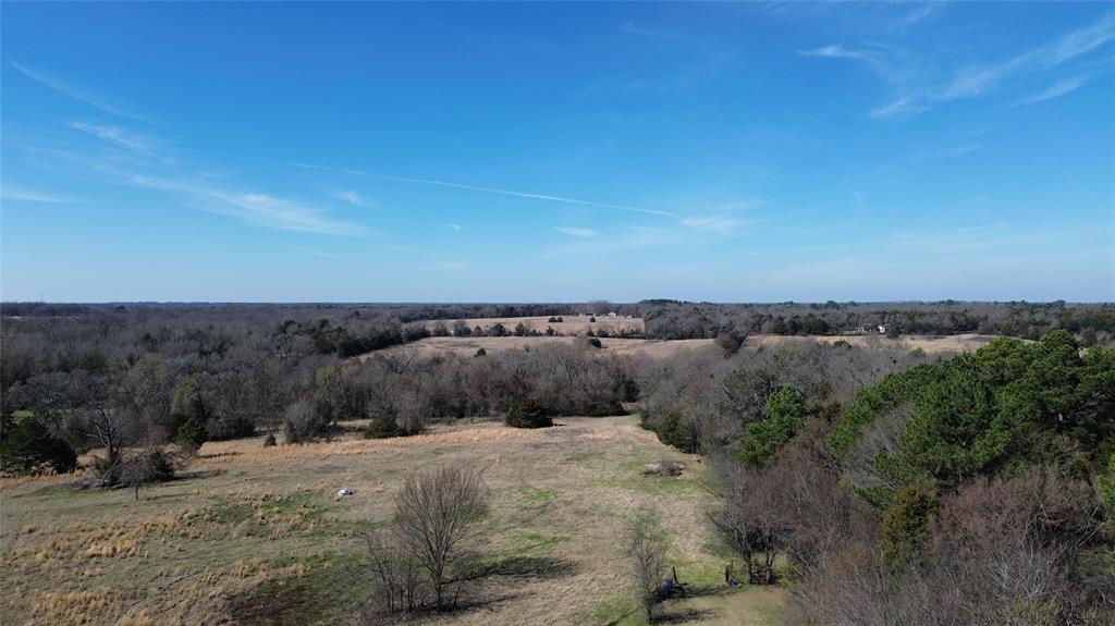 Lot 8 Rains Cr1140 Road Emory, TX 75440 - Photo 2 of 5 a view of a dry yard with trees