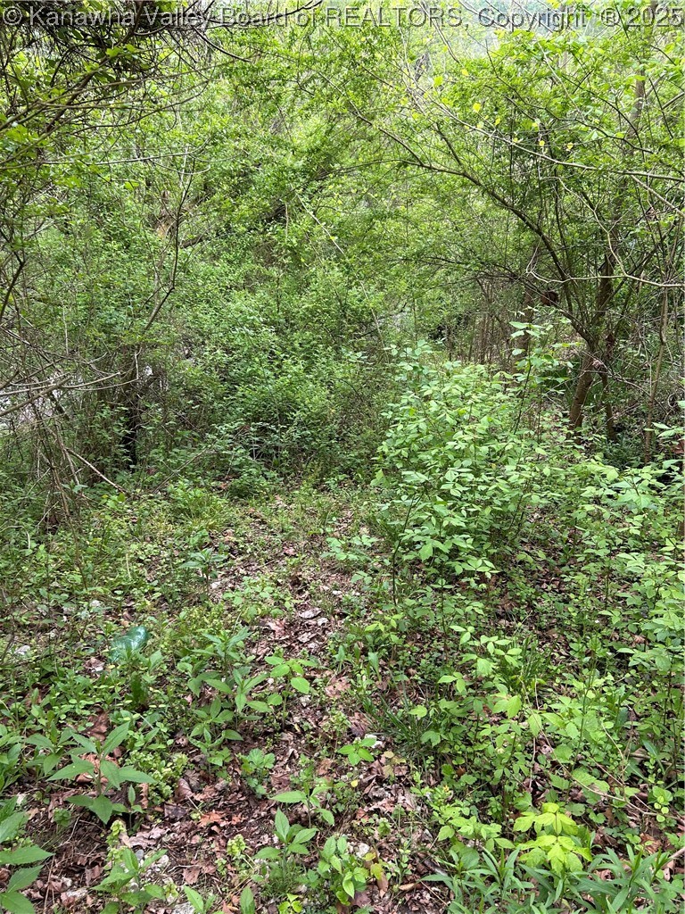 261 Poca River Road Charleston, WV 25312 - Photo 9 of 9 Gallery Image 9