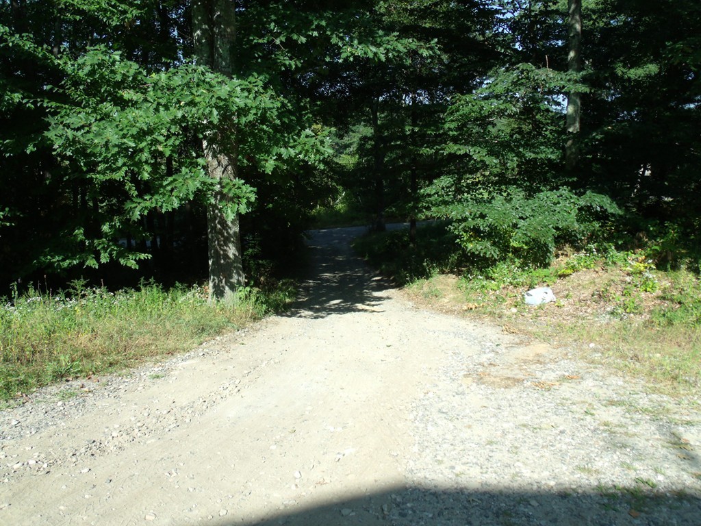 95 May Hill Road Monson, MA 01057 - Photo 3 of 22 a view of a yard with plants and trees