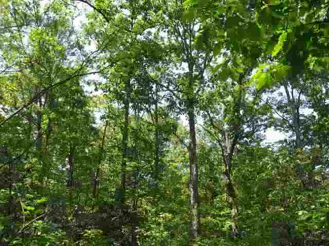 277 McCarson Road Marietta, SC 29661 - Photo 10 of 10 Gallery Image 10