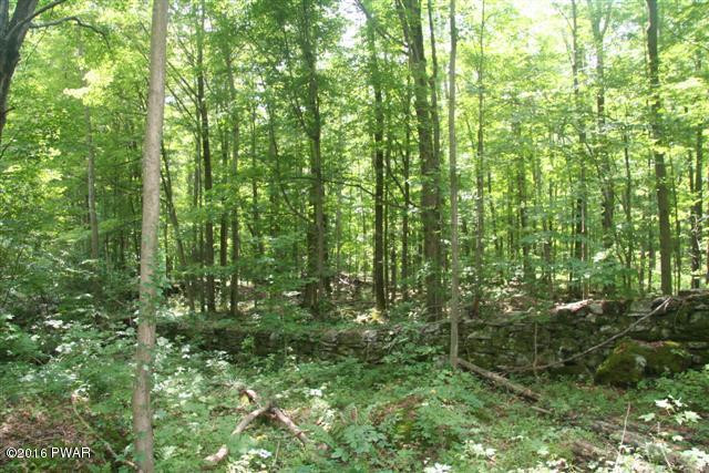 Hetzel Road Waymart, PA 18472 - Photo 1 of 1 a view of a lush green forest