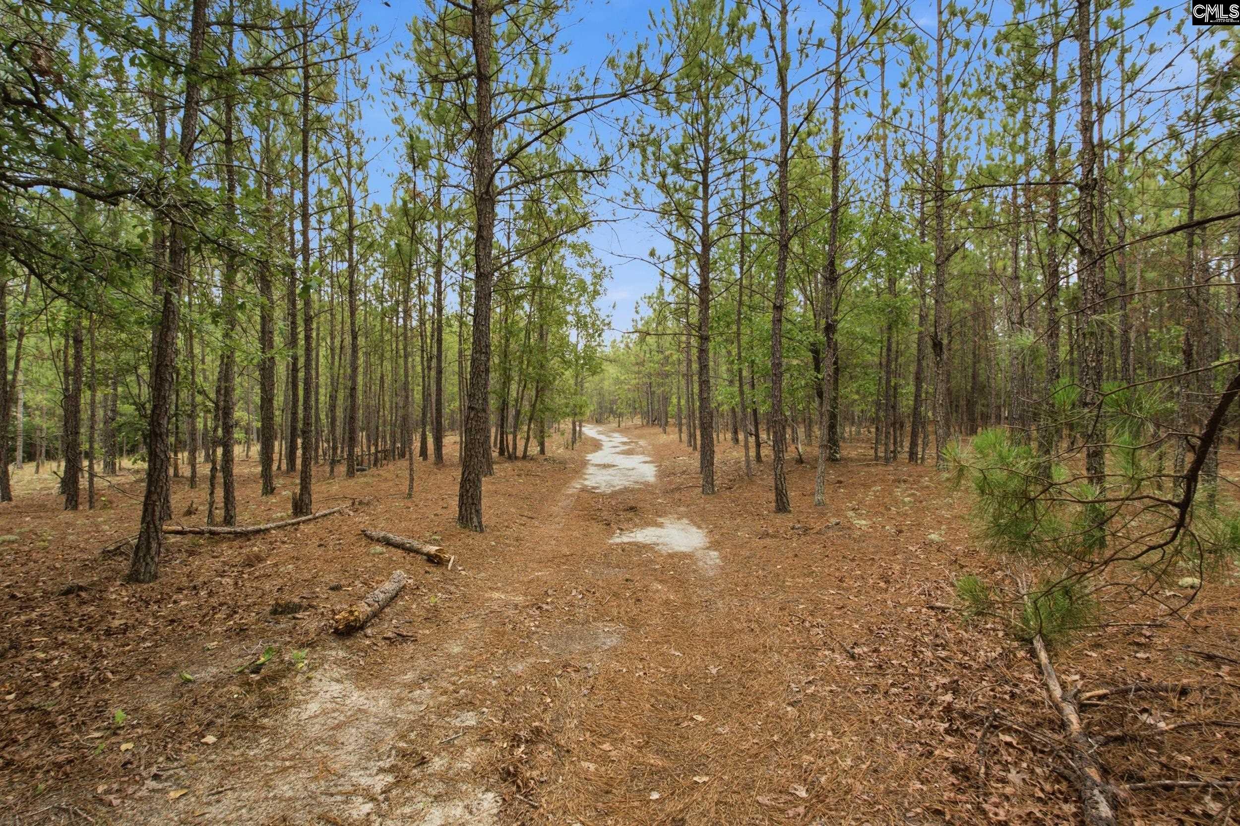 3390 State Rd S-28-496 Kershaw, SC 29067 - Photo 5 of 26