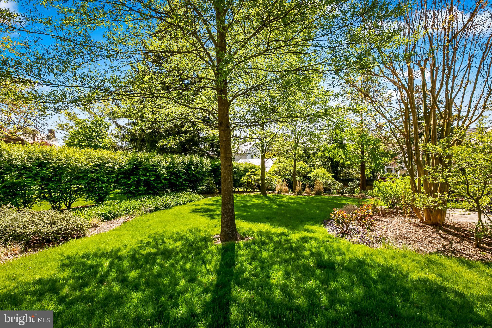 7 Wendover Road Baltimore, MD 21218 - Photo 76 of 95 Lush landscaping