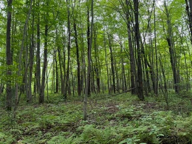 3319 N Road Mosinee, WI 54455 - Photo 32 of 42 Gallery Image 32