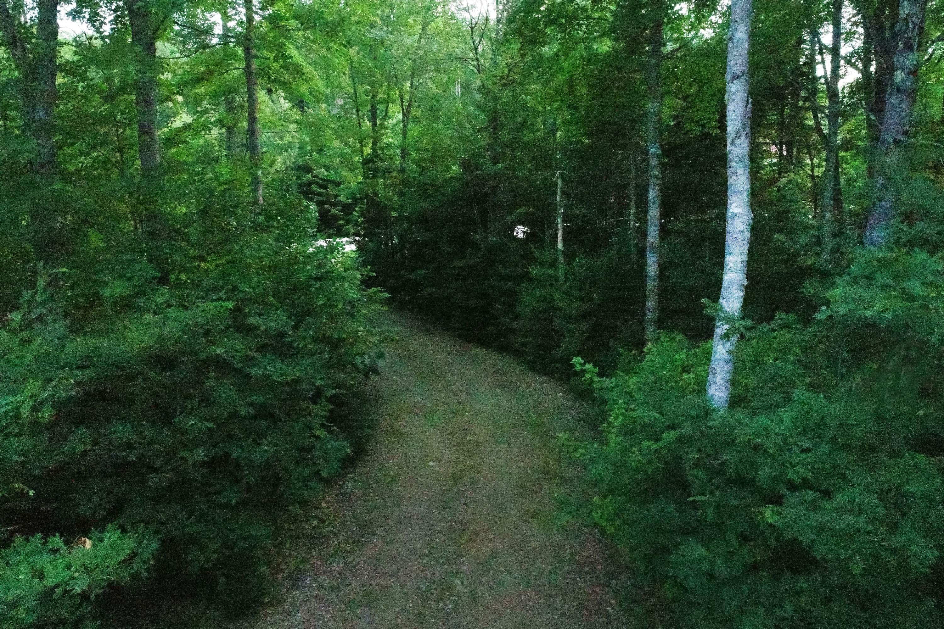 29 Backmeadow Road Waldoboro, ME 04572 - Photo 18 of 19 Backmeadow_web16