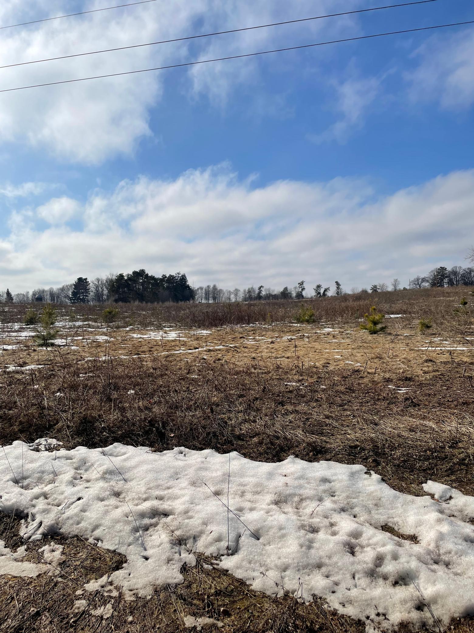 1239 Quail Street Braham, MN 55006 - Photo 3 of 11