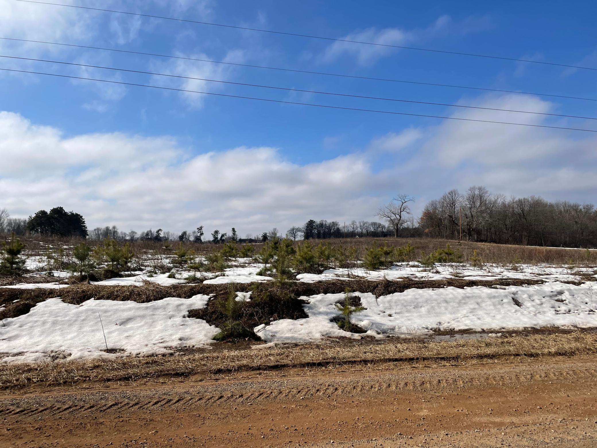 1239 Quail Street Braham, MN 55006 - Photo 4 of 11