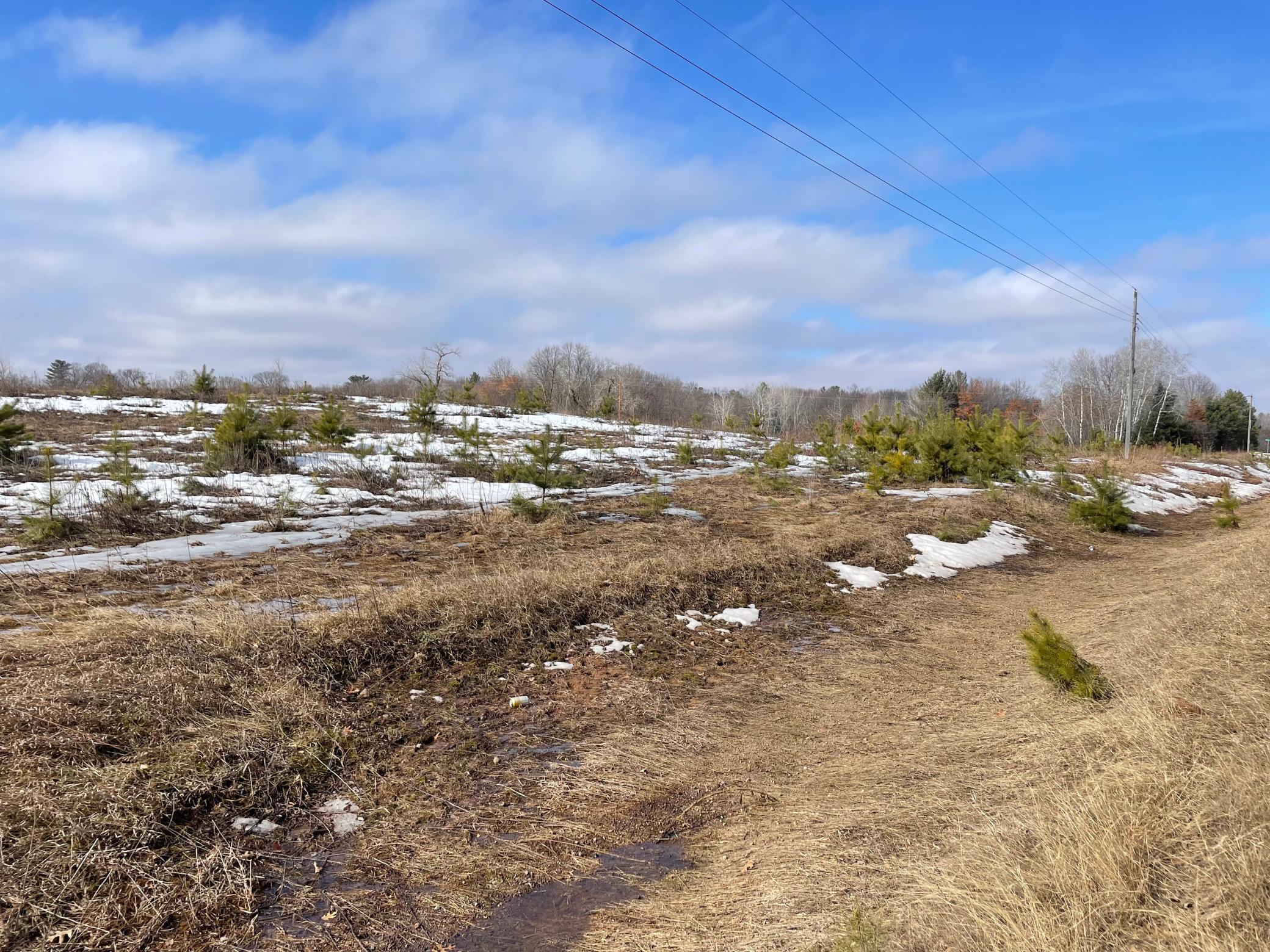 1239 Quail Street Braham, MN 55006 - Photo 6 of 11