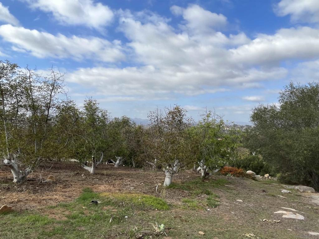 13610 Orchard Gate Rd-vacant Poway, CA 92064 - Photo 16 of 46 a backyard of a house with lots of green space