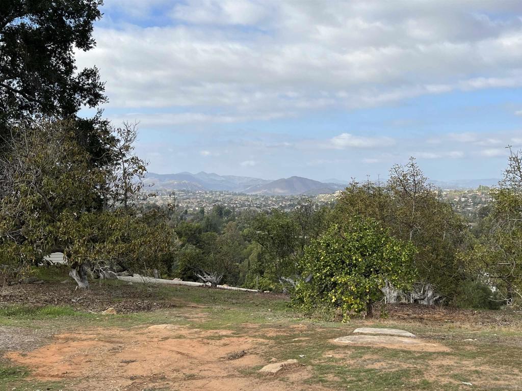 13610 Orchard Gate Rd-vacant Poway, CA 92064 - Photo 9 of 46 a view of a yard with a tree