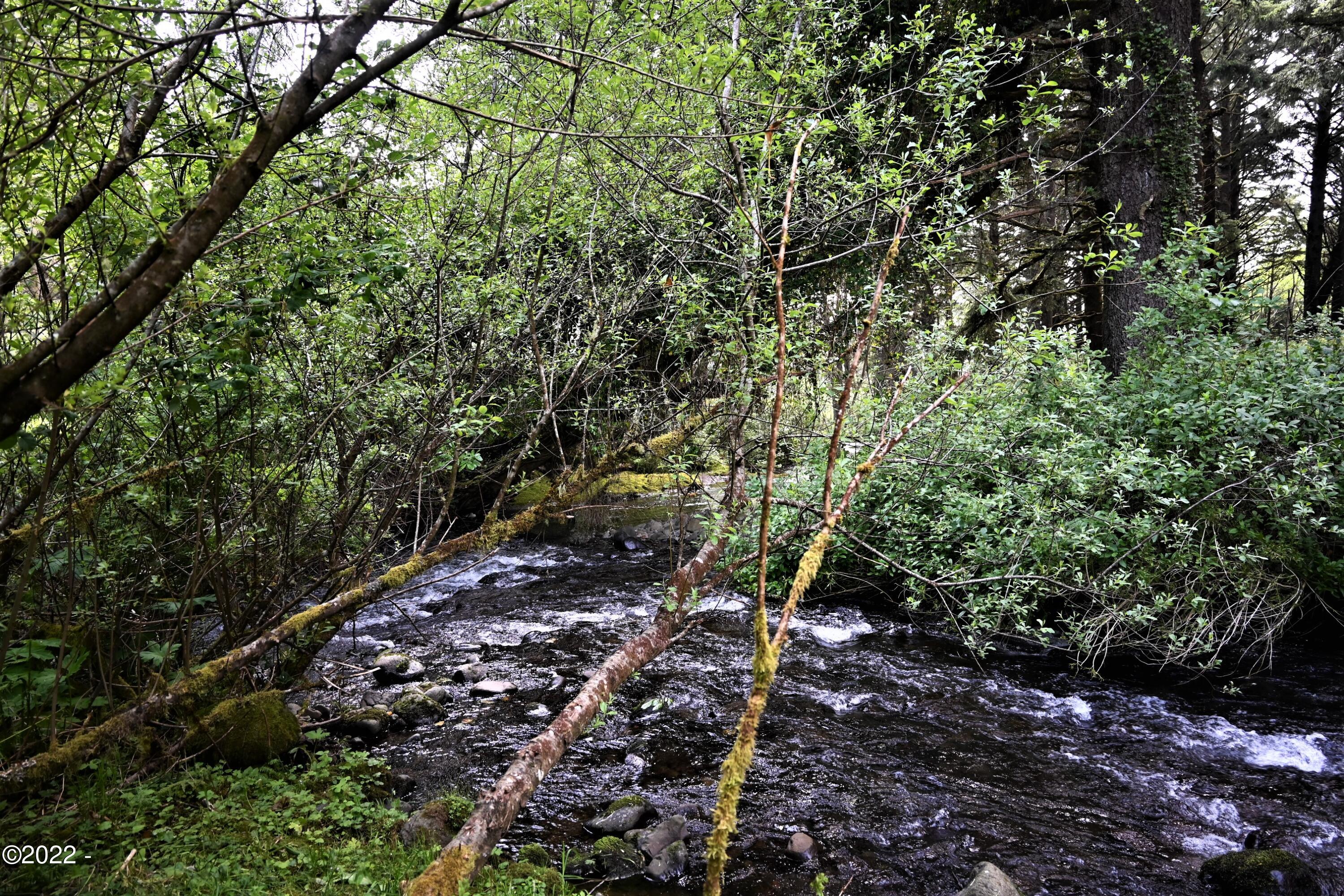 5489 South Bob Creek Road Yachats, OR 97498 - Photo 7 of 12 Bob Creek