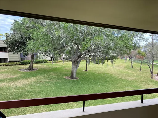 a view of a yard with a tree