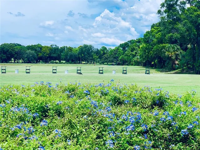 a view of a big yard with large trees and plants