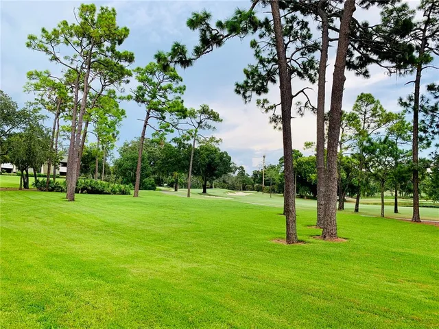 a view of a trees with a big yard