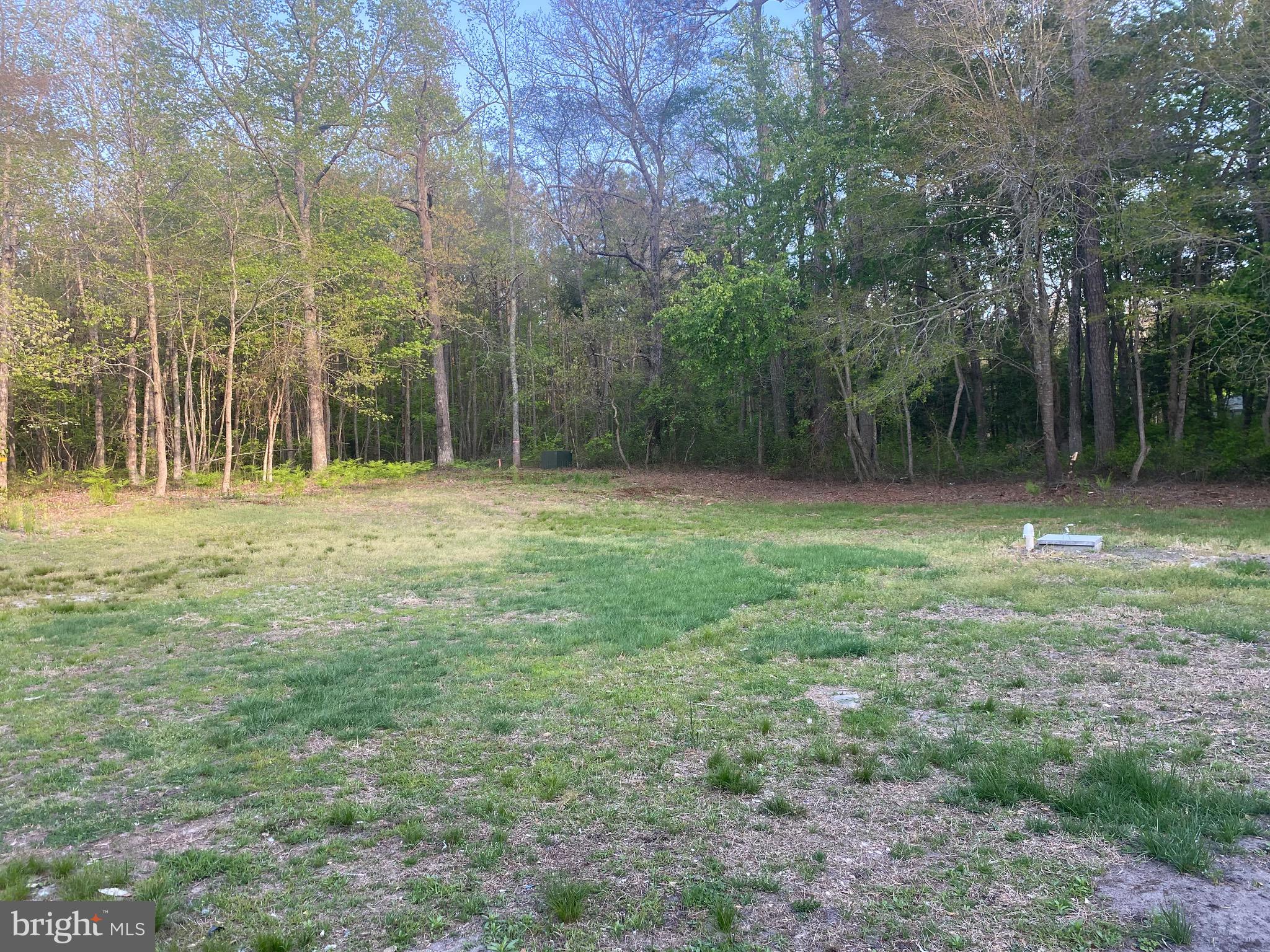20322 Thicket Road Milton, DE 19968 - Photo 20 of 21