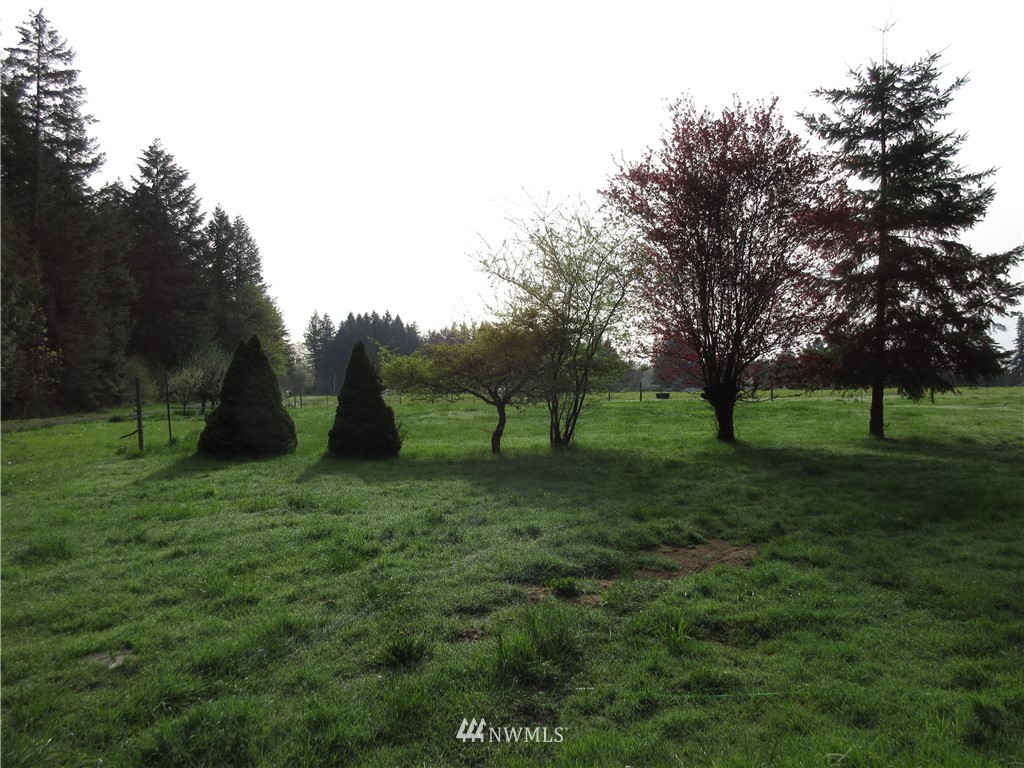 363 Hawkins Road Winlock, WA 98596 - Photo 17 of 25