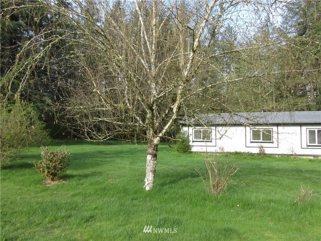 363 Hawkins Road Winlock, WA 98596 - Photo 3 of 25