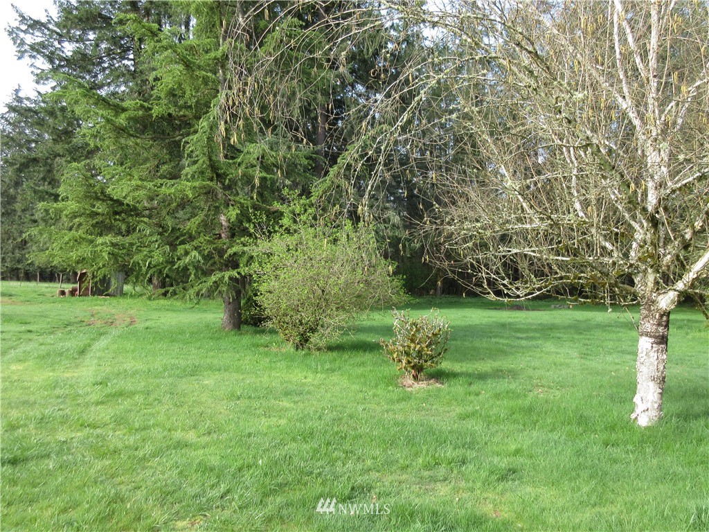 363 Hawkins Road Winlock, WA 98596 - Photo 21 of 25