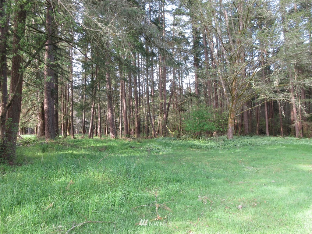 363 Hawkins Road Winlock, WA 98596 - Photo 22 of 25