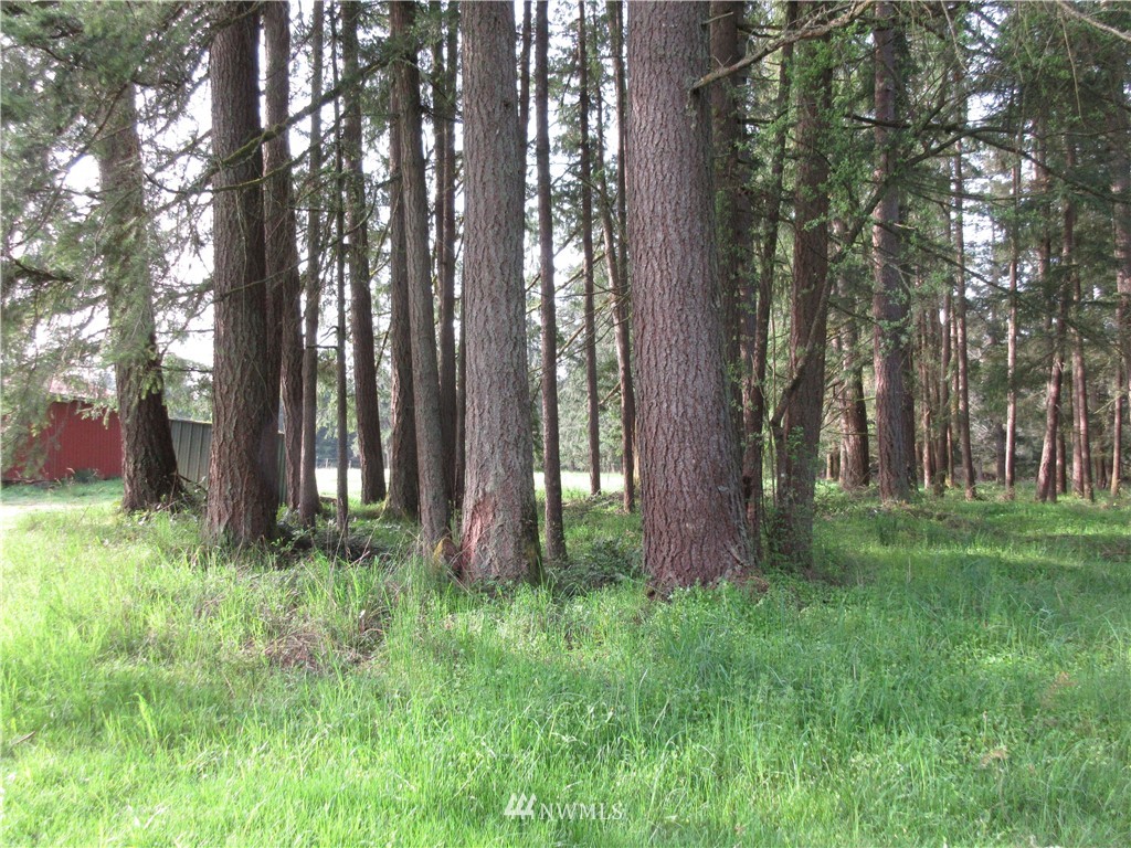 363 Hawkins Road Winlock, WA 98596 - Photo 23 of 25