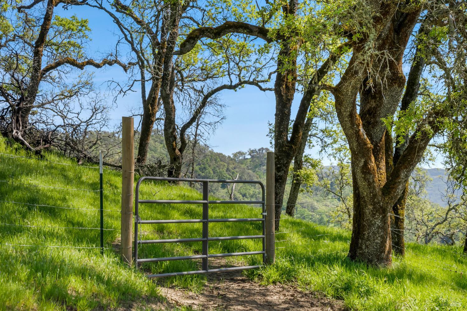 95 Longhorn Ridge Road Napa, CA 94558 - Photo 28 of 58