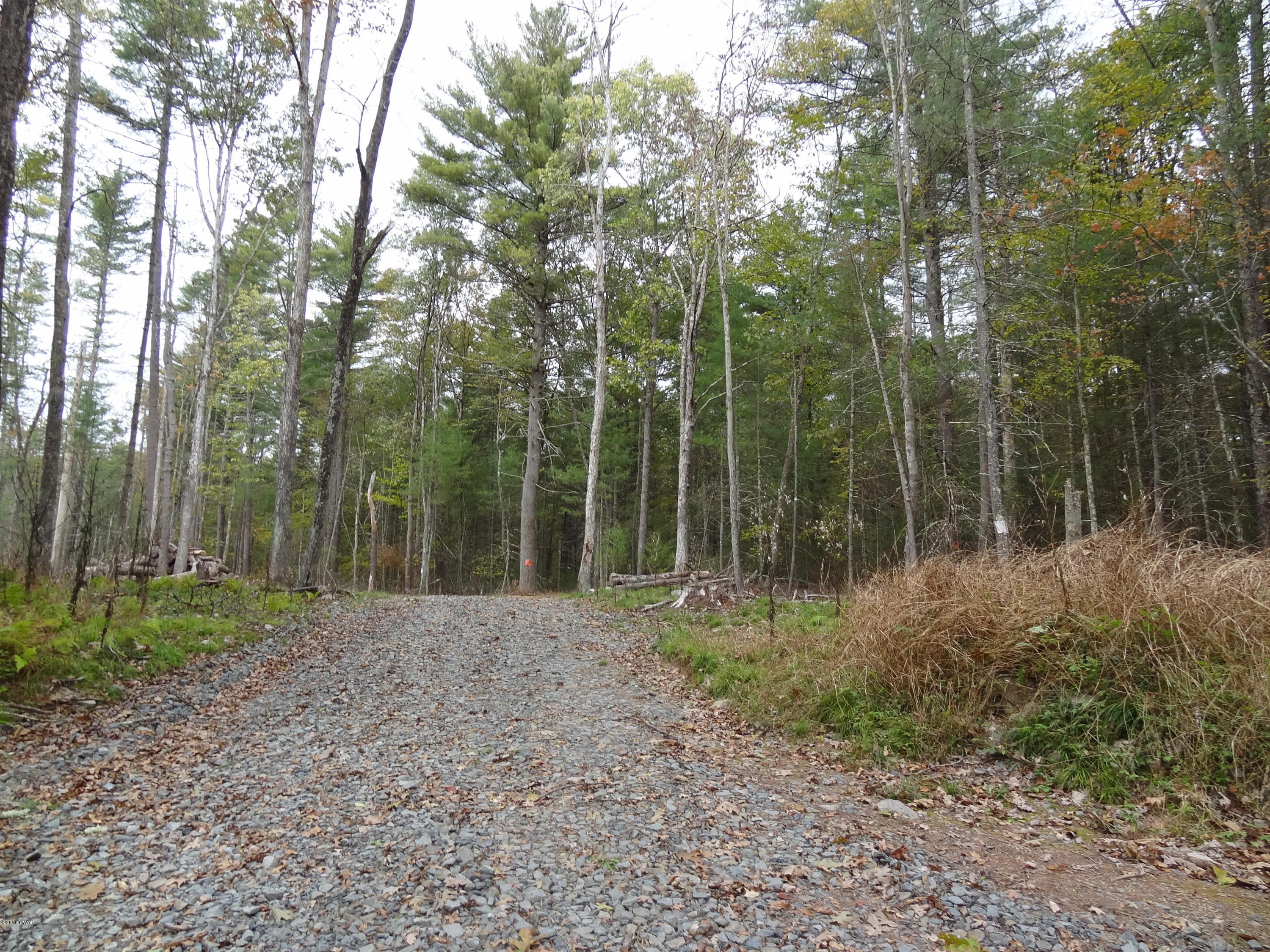 Hendrick Road Hawley, PA 18428 - Photo 8 of 11