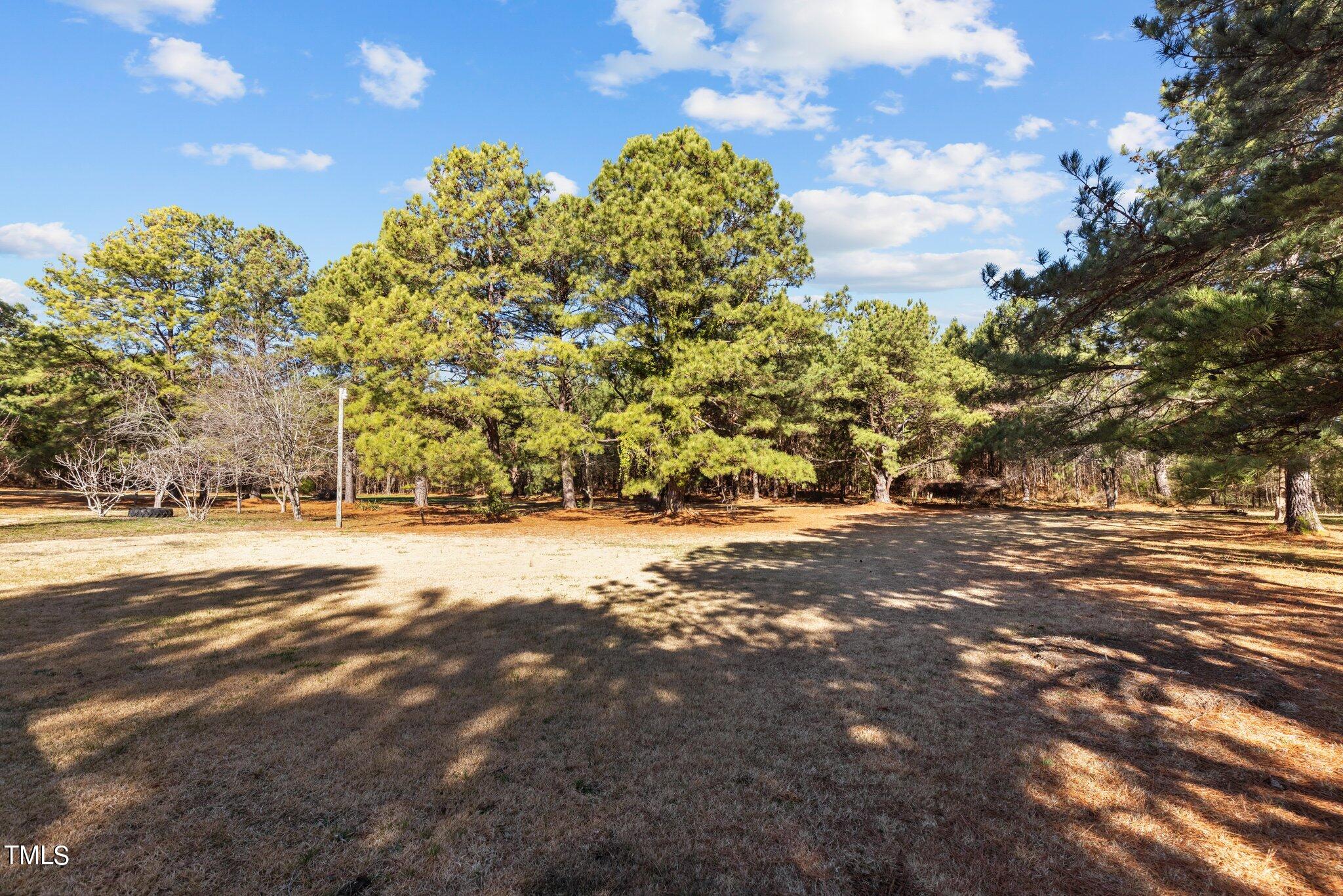 365 Rev Henderson Road Henderson, NC 27537 - Photo 32 of 48 a view of a yard with a tree