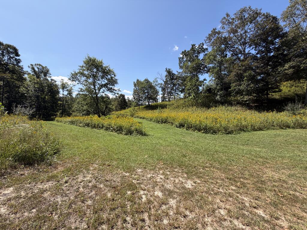 2443 Bruce Allen Road Hinton, WV 25951 - Photo 42 of 75 Gallery Image 42