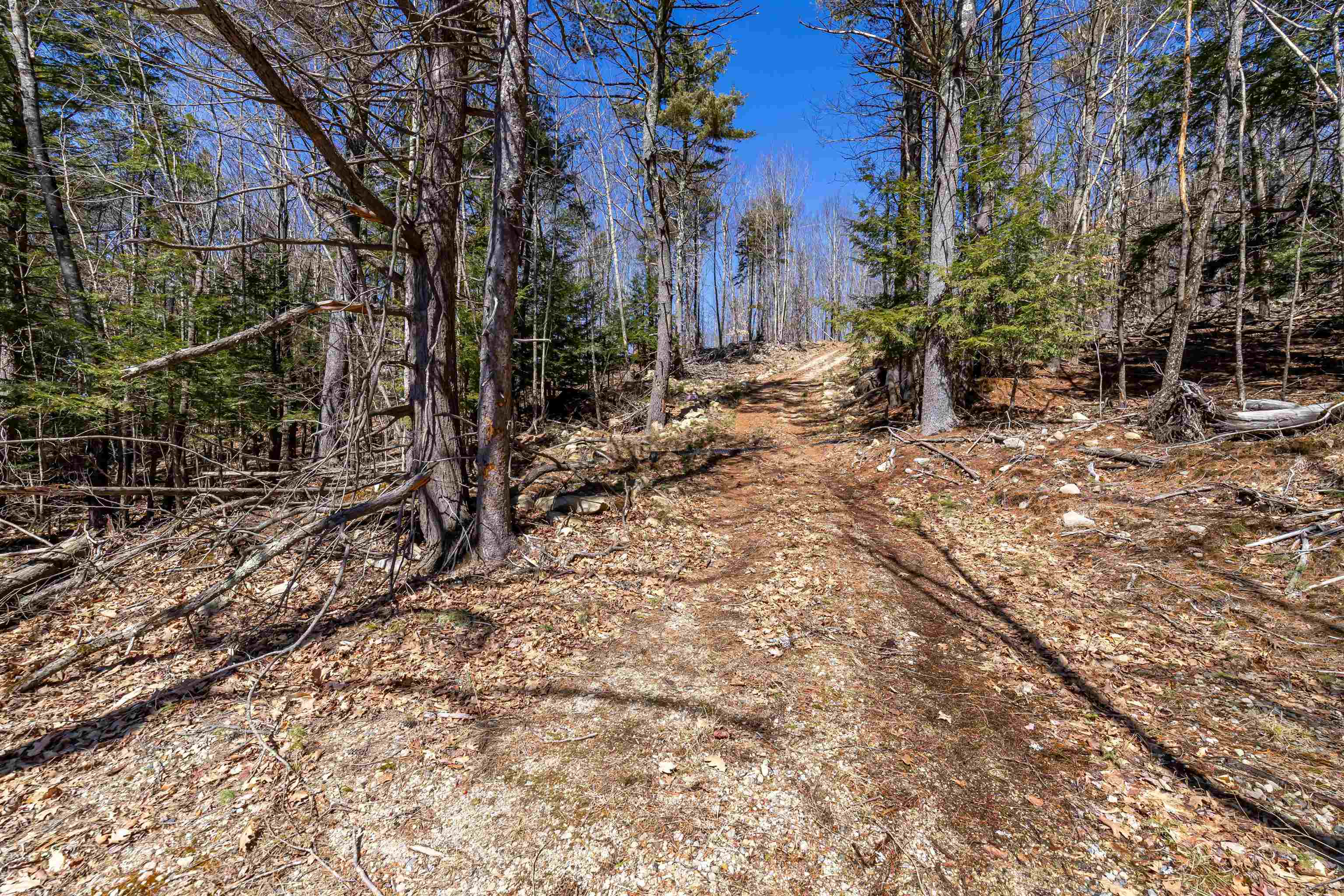 Ten Ten Rod Road Farmington, NH 03835 - Photo 10 of 13