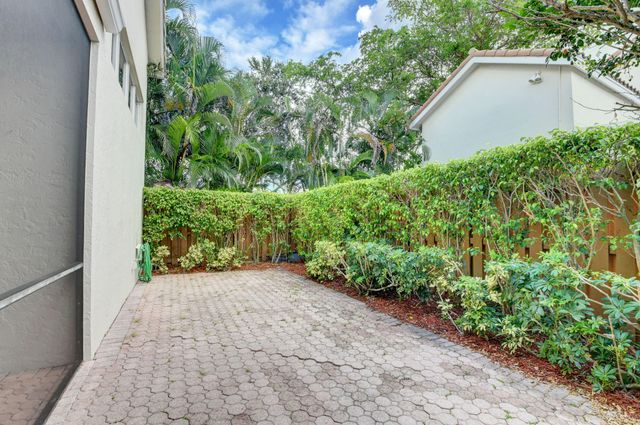 a view of a garden with plants