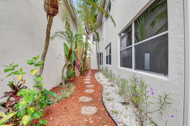 a view of a pathway with a flower plants