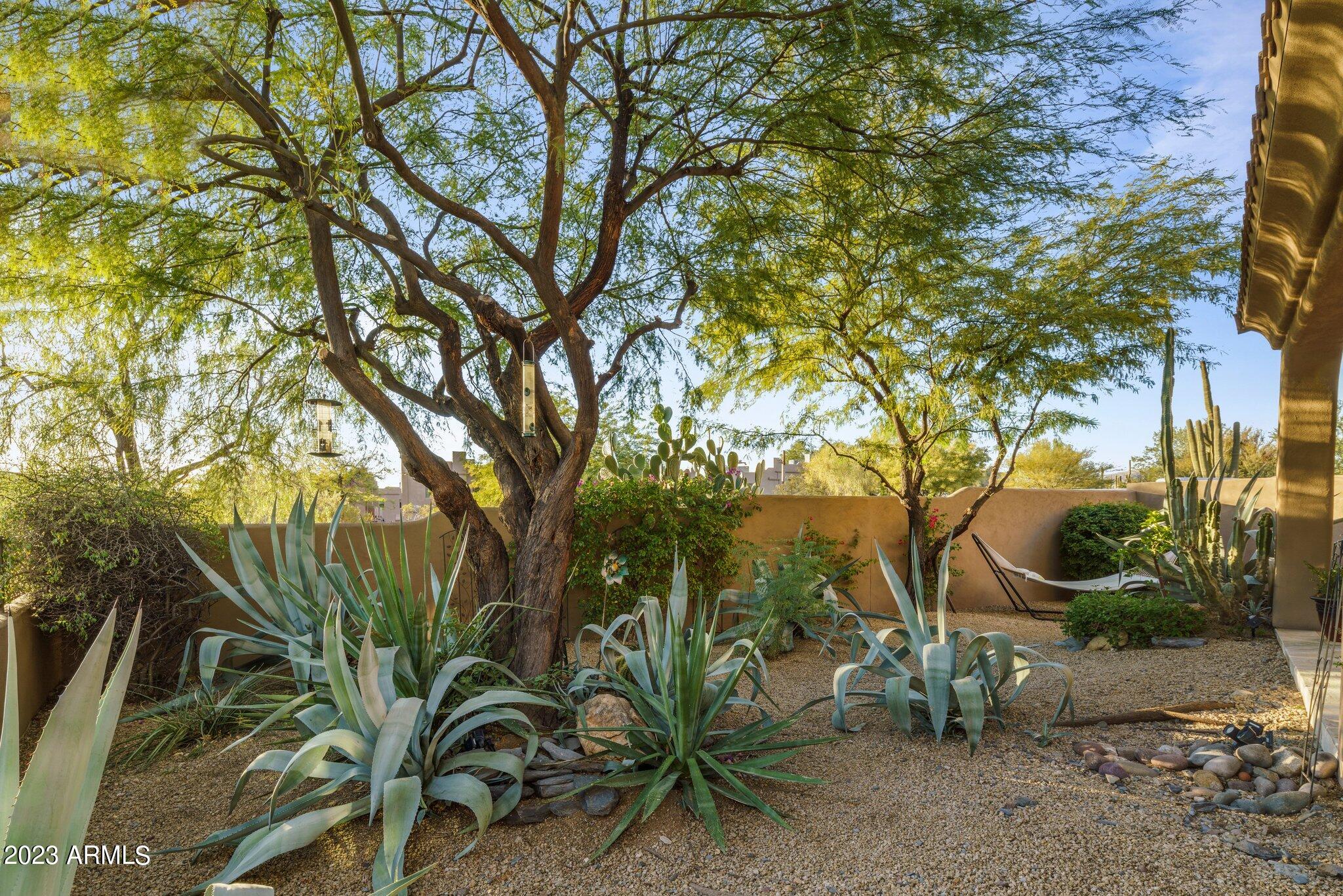 6434 East Military Road, Unit 101 Cave Creek, AZ 85331 - Photo 6 of 26 38-web-or-mls-DSC00530
