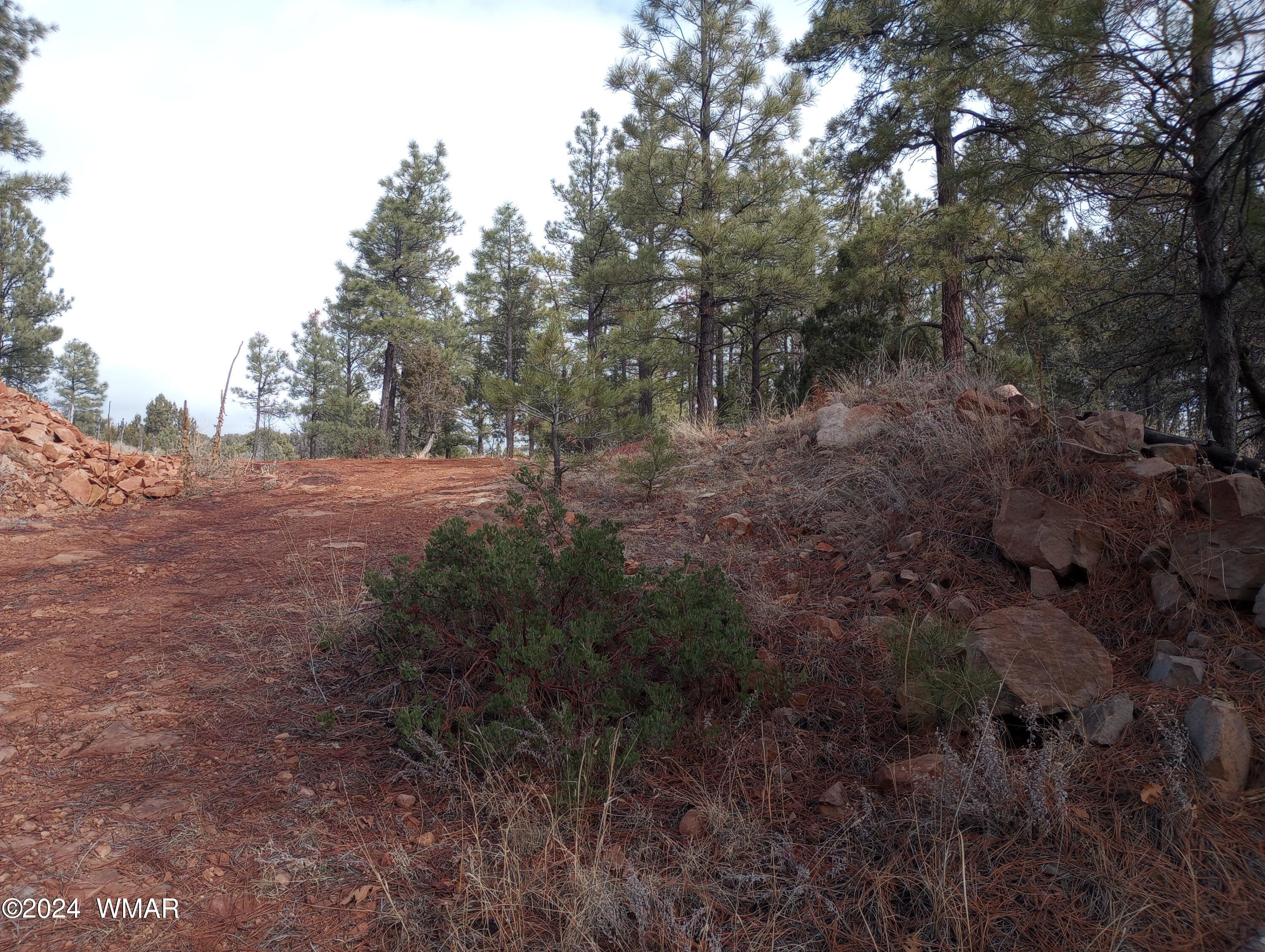 6922 Deuces Wild Road Show Low, AZ 85901 - Photo 11 of 22 Gallery Image 11