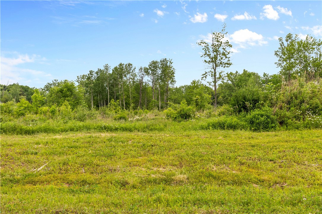 16 Forest Ridge Trail Parma, NY 14559 - Photo 11 of 12