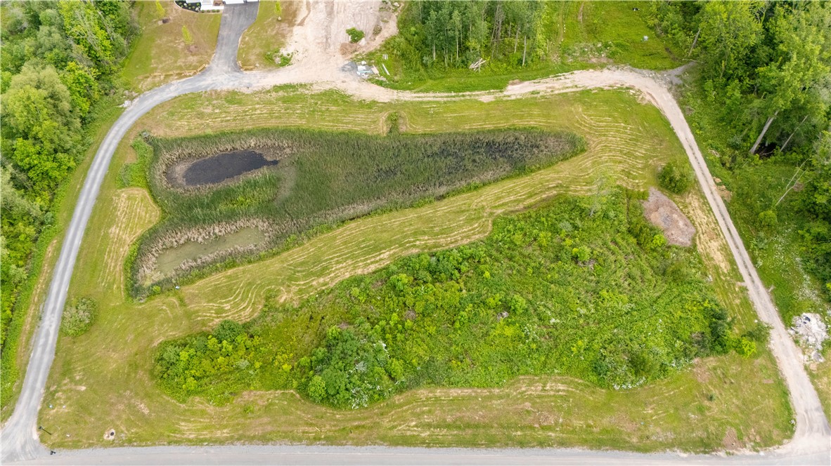 16 Forest Ridge Trail Parma, NY 14559 - Photo 6 of 12