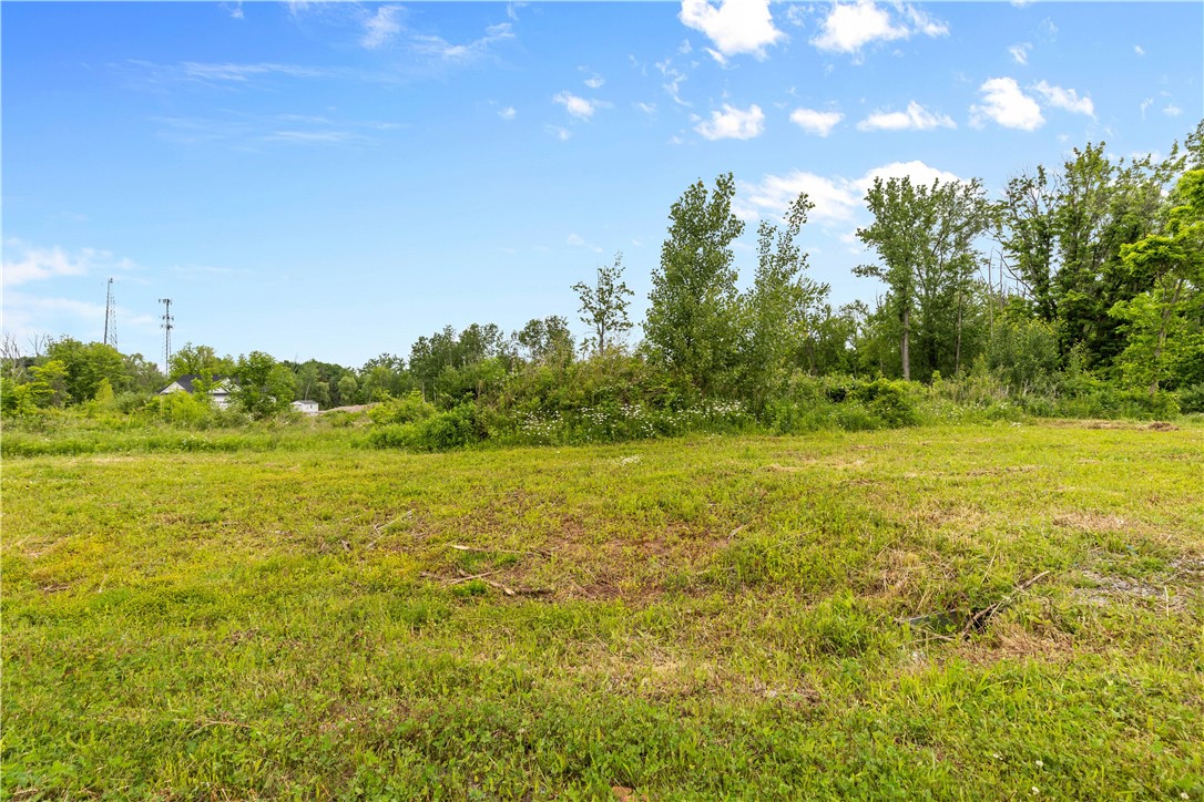 16 Forest Ridge Trail Parma, NY 14559 - Photo 10 of 12