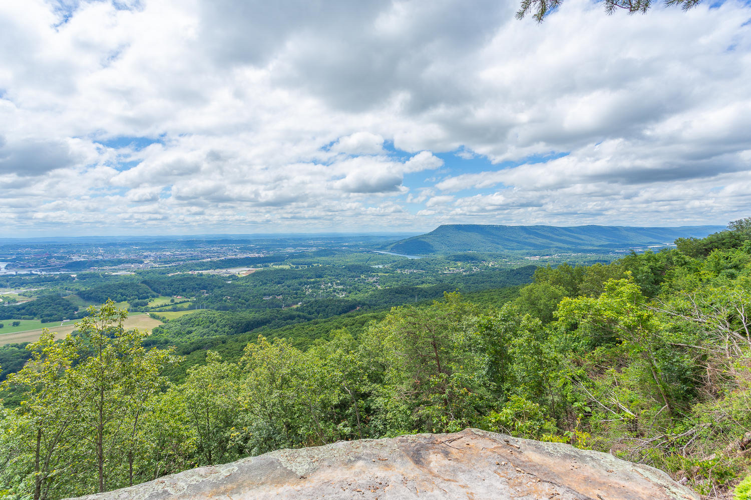 1124 Cumberland Road Chattanooga, TN 37419 - Photo 14 of 26 4320 Nestledown & Property HD -83