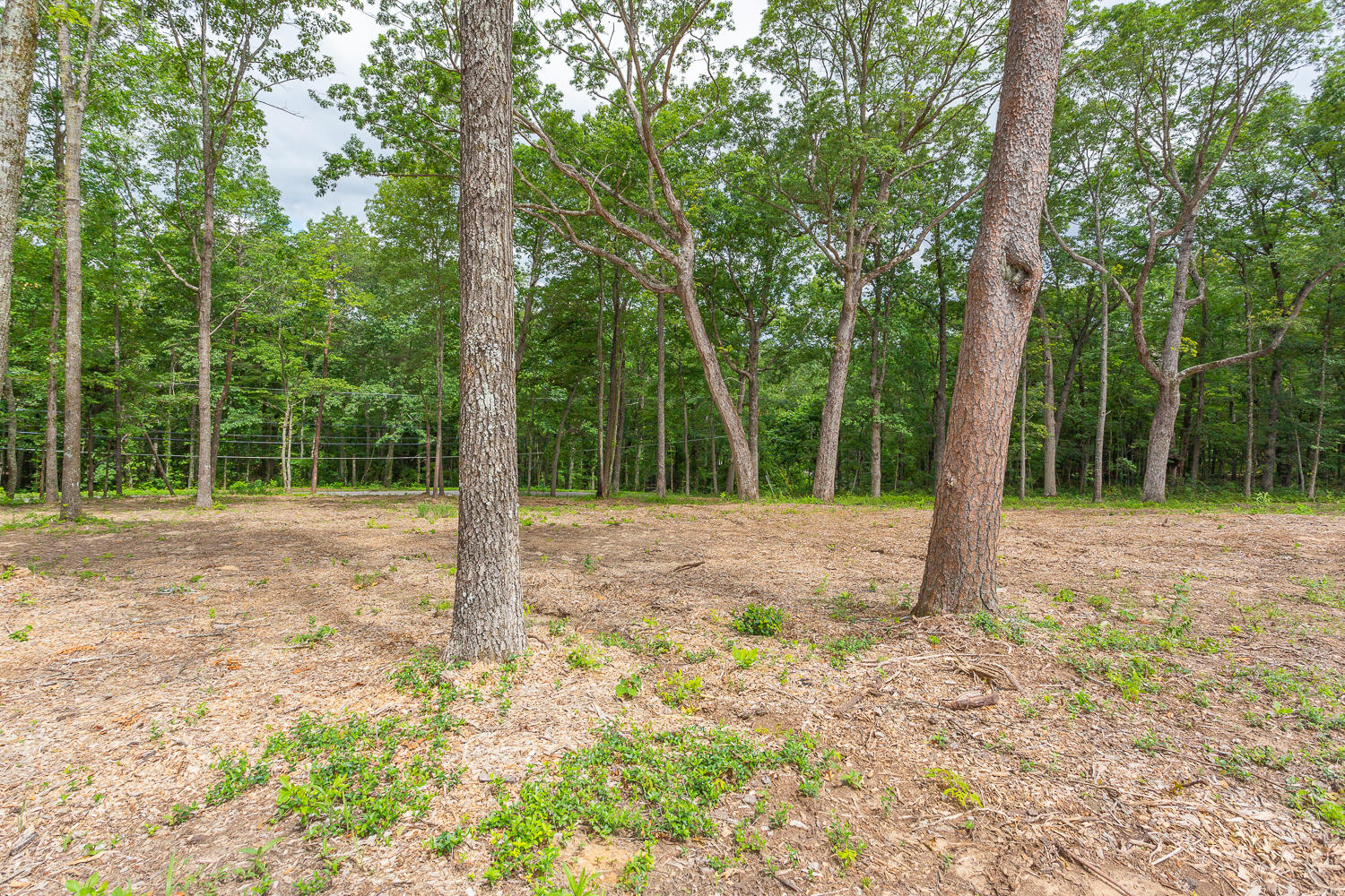 1124 Cumberland Road Chattanooga, TN 37419 - Photo 17 of 26 4320 Nestledown & Property HD -81