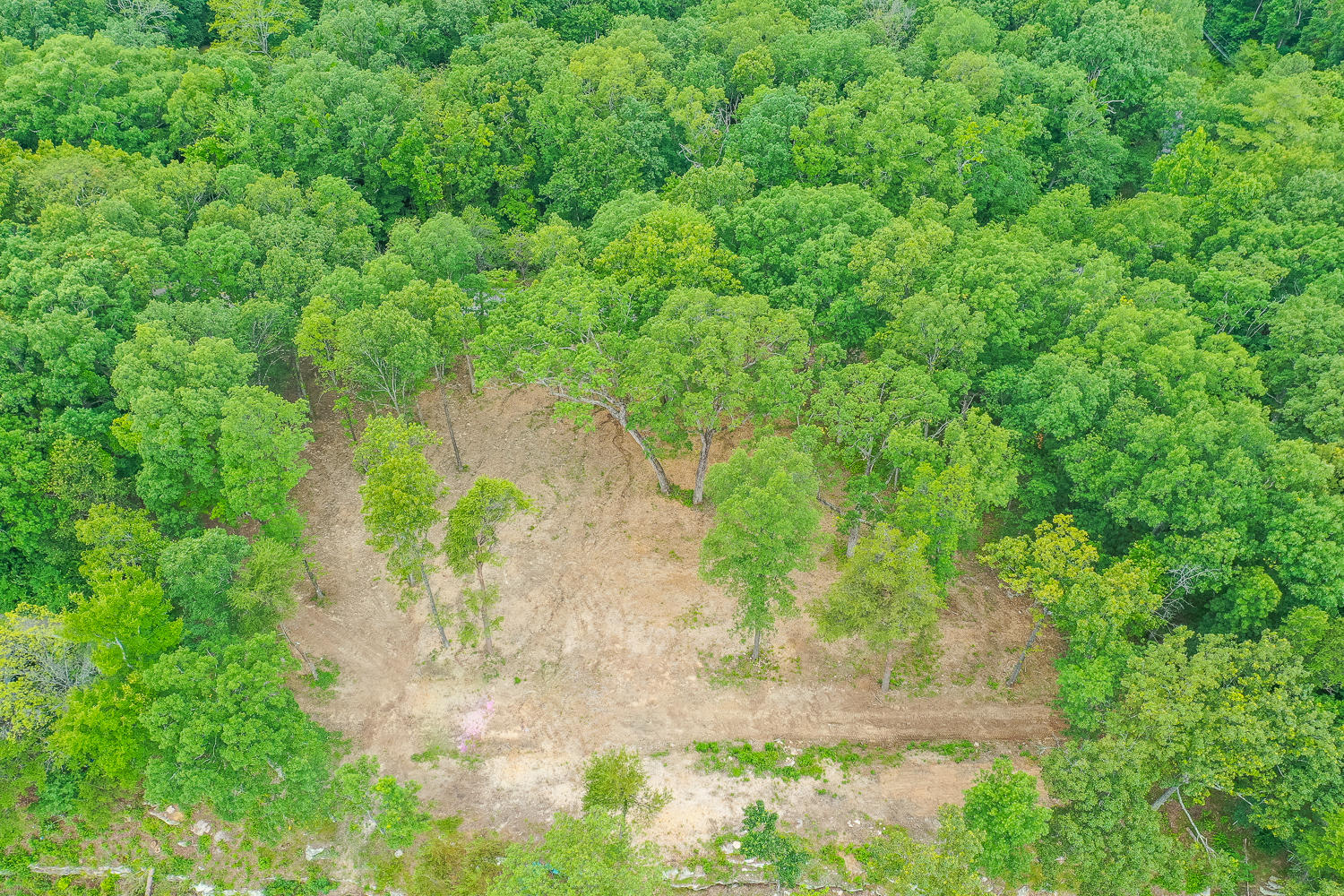 1124 Cumberland Road Chattanooga, TN 37419 - Photo 21 of 26 4320 Nestledown & Property Aerials HD -2
