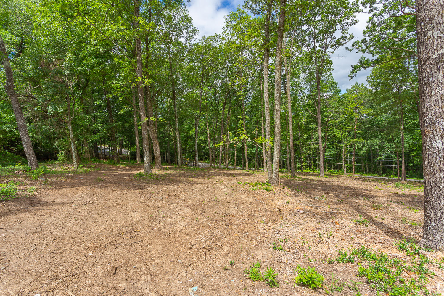 1124 Cumberland Road Chattanooga, TN 37419 - Photo 7 of 26 4320 Nestledown & Property HD -80