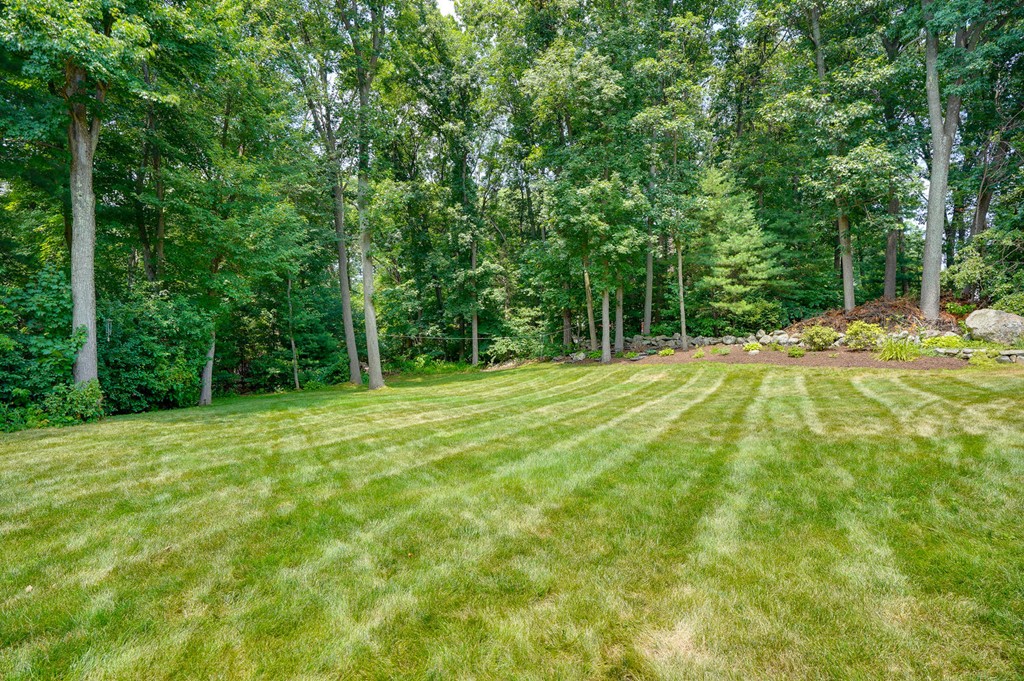 10 Meadowvale Road Burlington, MA 01803 - Photo 17 of 17 Gallery Image 17