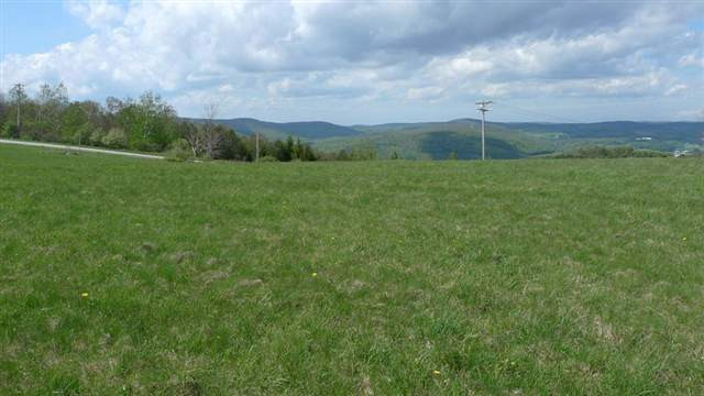 925 County Road 39 Worcester, NY 12197 - Photo 2 of 6 Photo 2