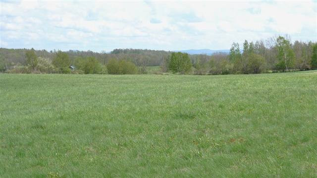 925 County Road 39 Worcester, NY 12197 - Photo 3 of 6 Photo 3