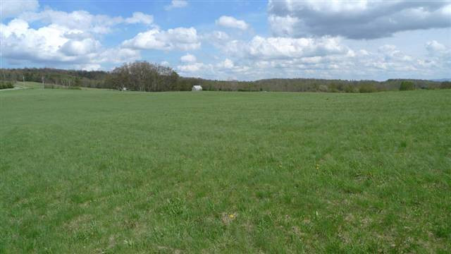 925 County Road 39 Worcester, NY 12197 - Photo 4 of 6 Photo 4