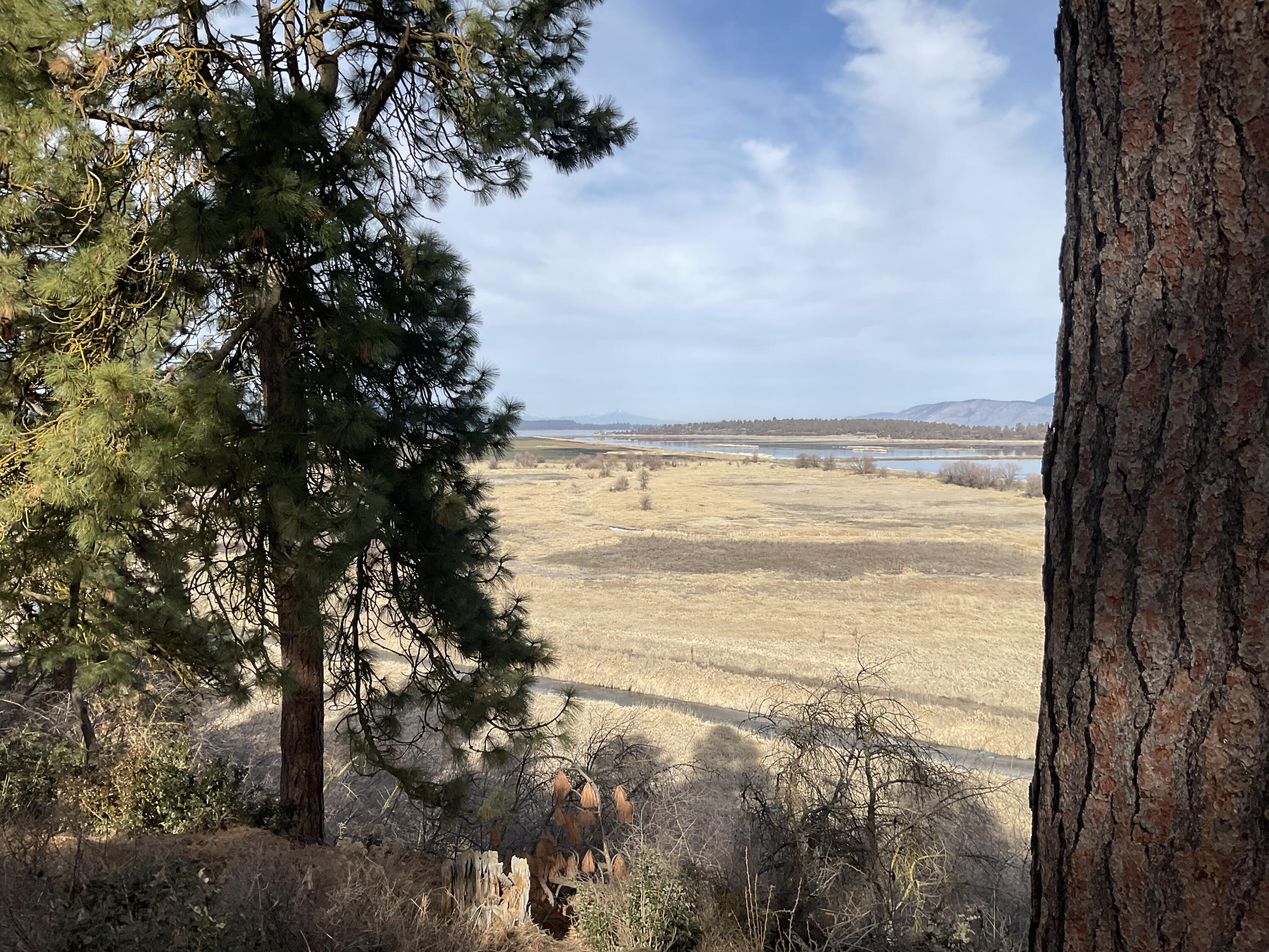 Kestrel Road Klamath Falls, OR 97601 - Photo 2 of 7 IMG_2666