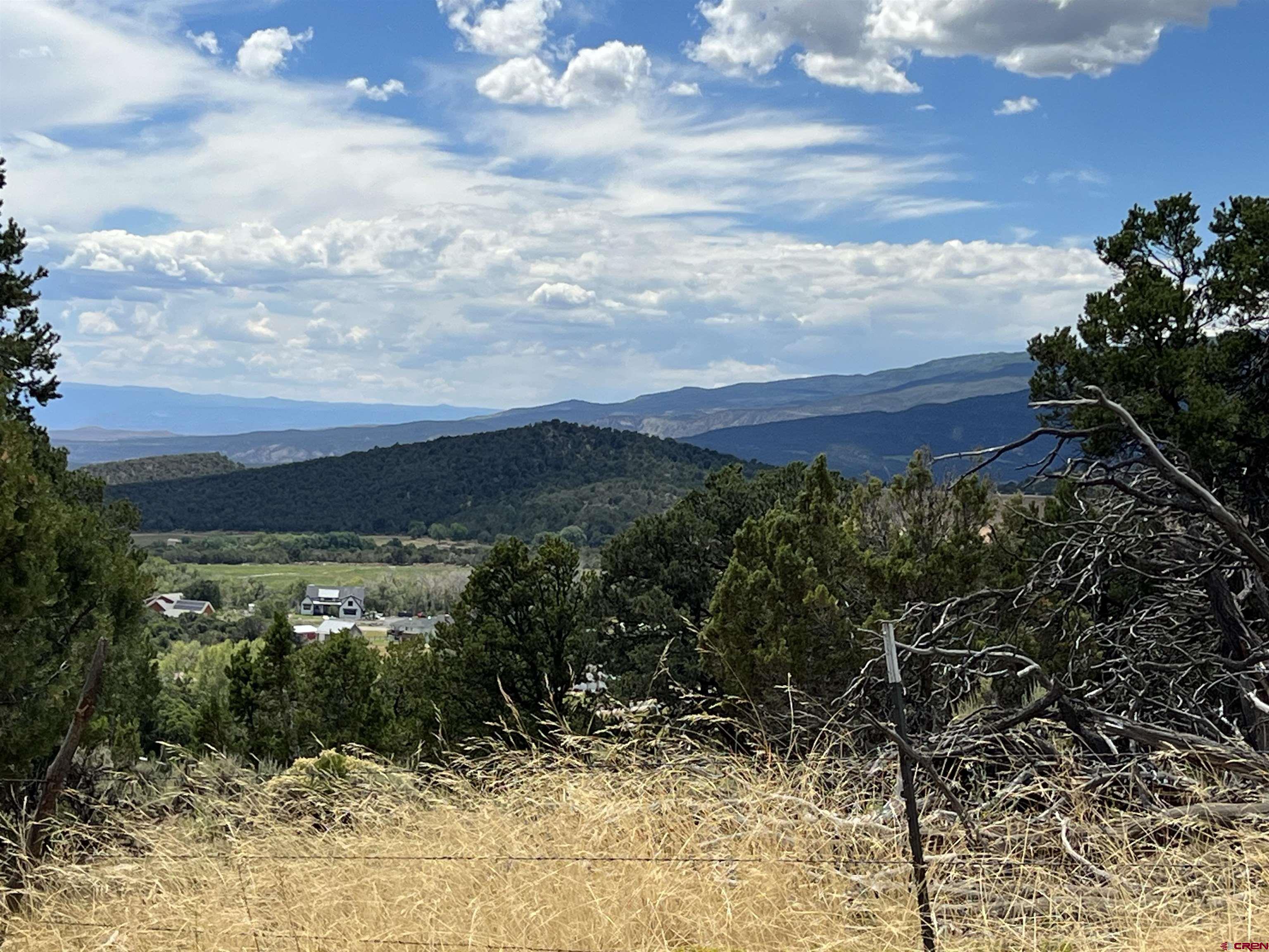 20567 Highway 65 Cedaredge, CO 81413 - Photo 6 of 8 a view of a yard with an outdoor space