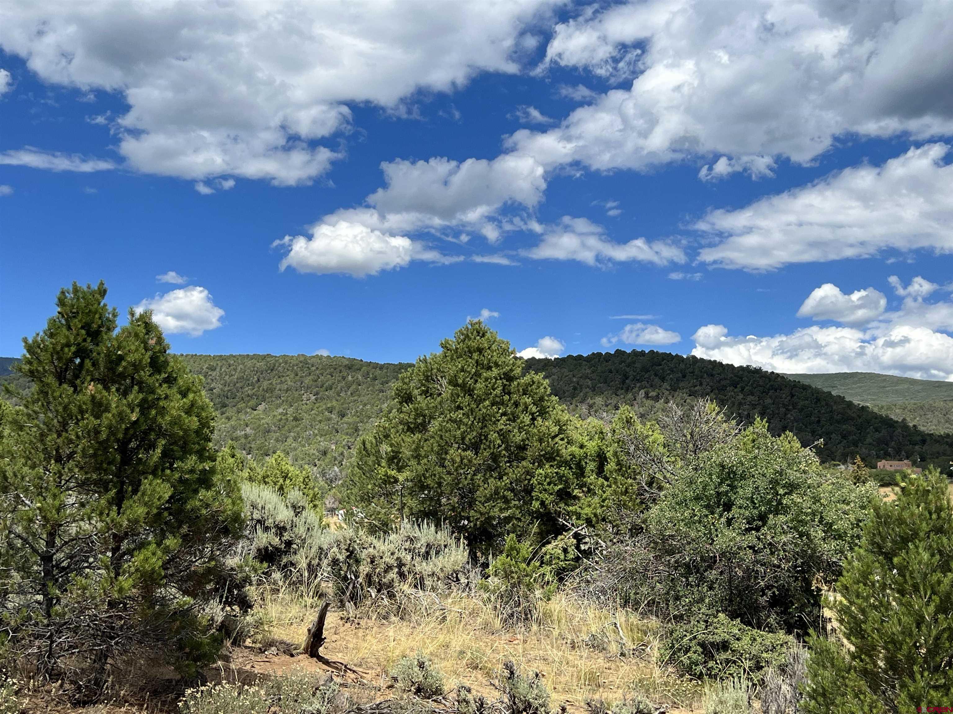 20567 Highway 65 Cedaredge, CO 81413 - Photo 7 of 8 a view of a lake