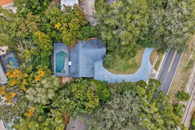 a view of a garden from a window
