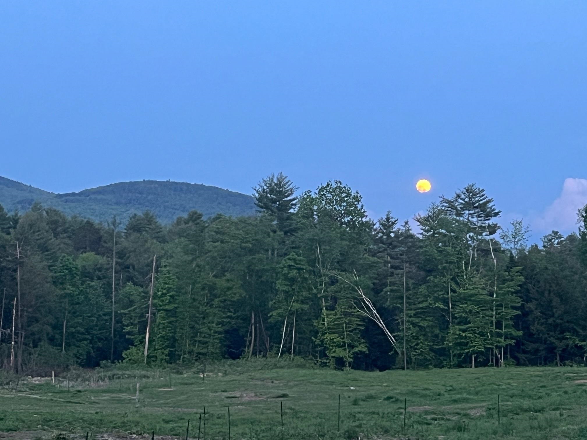 139 Turner Road Wentworth, NH 03282 - Photo 28 of 33